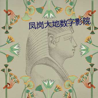 凤岗大地数字影院