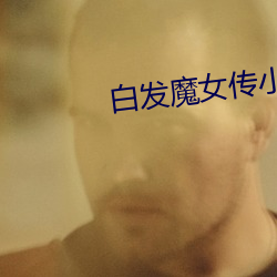 白发魔女传小说