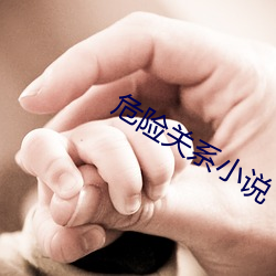 危险关系小说
