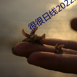 ezweb易利娱乐平台(唯一)官网登录入口
