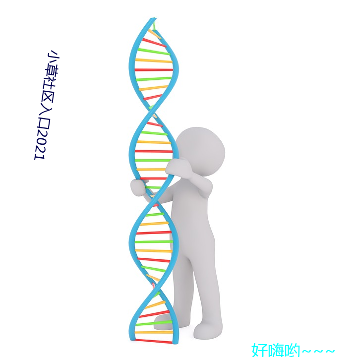 小草社区入口2021