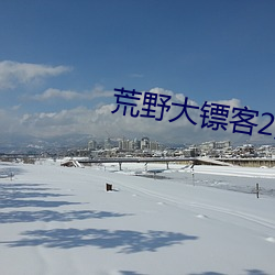 荒野大镖客2娼妓