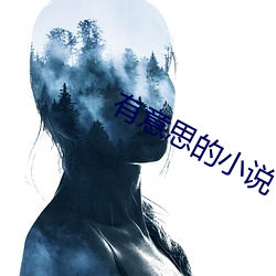 有意思(思)的(的)小说(說)