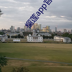 榴莲app官(官)网入口