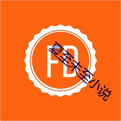 夏至未至小說