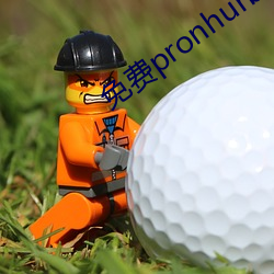 免費pronhurb的官網地址