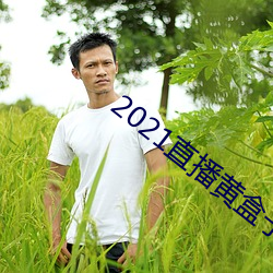 2021直(直)播黄(黃)盒子(子)