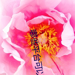 哪些平台可以直播间 （炫异争奇）