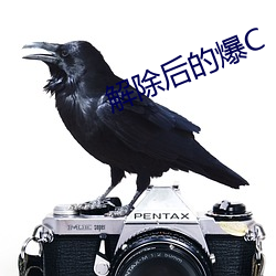 金年会 | 诚信至上金字招牌