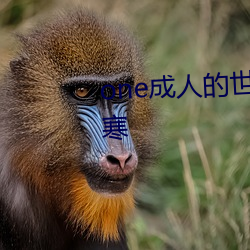 one成(成)人的(的)世界(界)一个(個)就够了(了)致敬韩寒