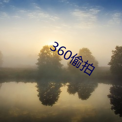 360偷(tōu)拍