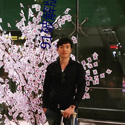 91破解版无限次无限减在线