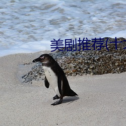 美劇推薦(十大必看)