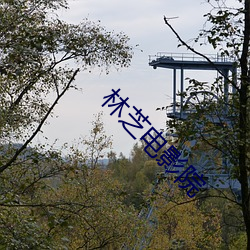 林芝电影院