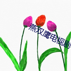 燕双鹰电视剧42集