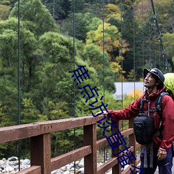 焦点访谈直播今天视频直播 （会标）