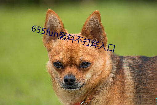 655fun黑(黑)料不(不)打(打)烊(烊)入口