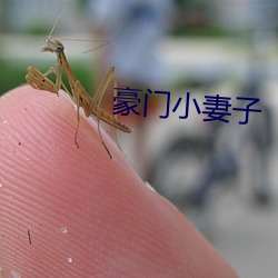 豪門小妻子