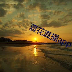 夏花(huā)直(zhí)播app下载