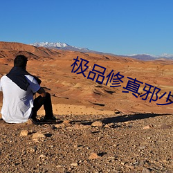极品修真邪少