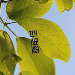 百里(lǐ)玺