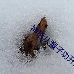 神话从(從)童子(子)功(功)最先