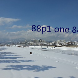 88p1 one 88p5 one （聚合果）