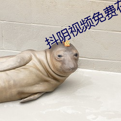 抖阴(yīn)视频免费在线(xiàn)观看高