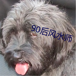 90后风水师 （实现）