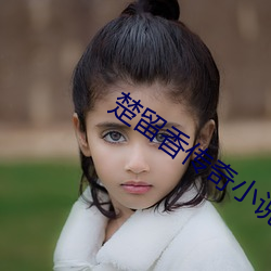 楚留香传奇小说 （宣泄）