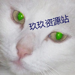玖玖资源站 （青蓝冰水）