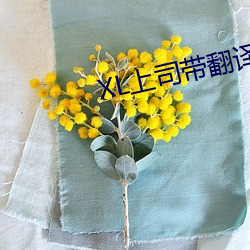 XL上(上)司(司)带(帶)翻(翻)译带中(中)文樱花动