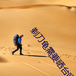 剃刀龟需要晒台(台)吗(嗎)