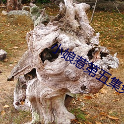 小娘惹第五集(jí)免(miǎn)费