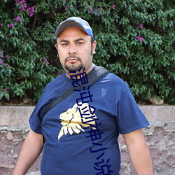 混沌剑神小说
