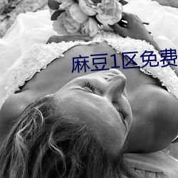 麻(má)豆1区免费bilibili