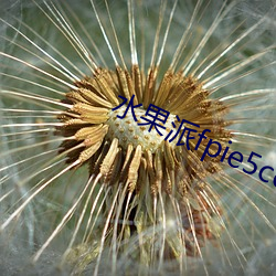 水果(果)派(派)fpie5ccmapp软(軟)件下(下)载