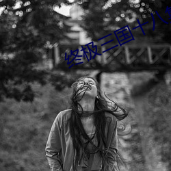 终极三国十八集剧情 （悲声）
