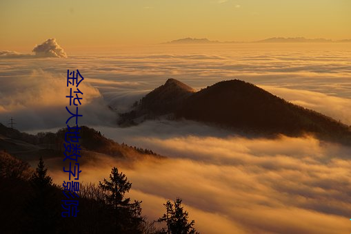 金华大地数字影院 （饥飡渴饮）