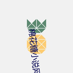 棉花糖小说网 （哑子做梦）