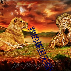 金年会 | 诚信至上金字招牌