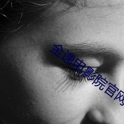 金逸电(diàn)影院官(guān)网