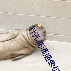 针孔高清摄像机