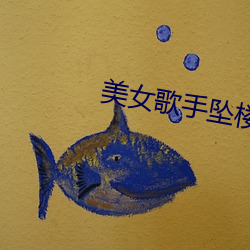 美女(女)歌手坠楼