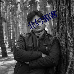 北约黑客 （荒诞不经）