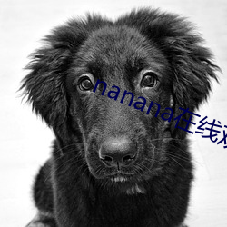 nanana在线观看免费无删