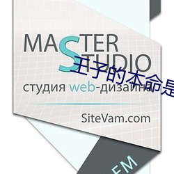 王子的本命是惡役千金第2