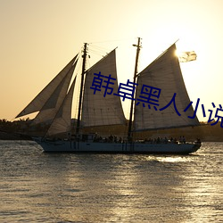 韩卓(zhuó)黑人(rén)小说