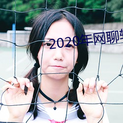 2020年网聊(聊)软(軟)件