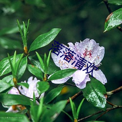 延 죩